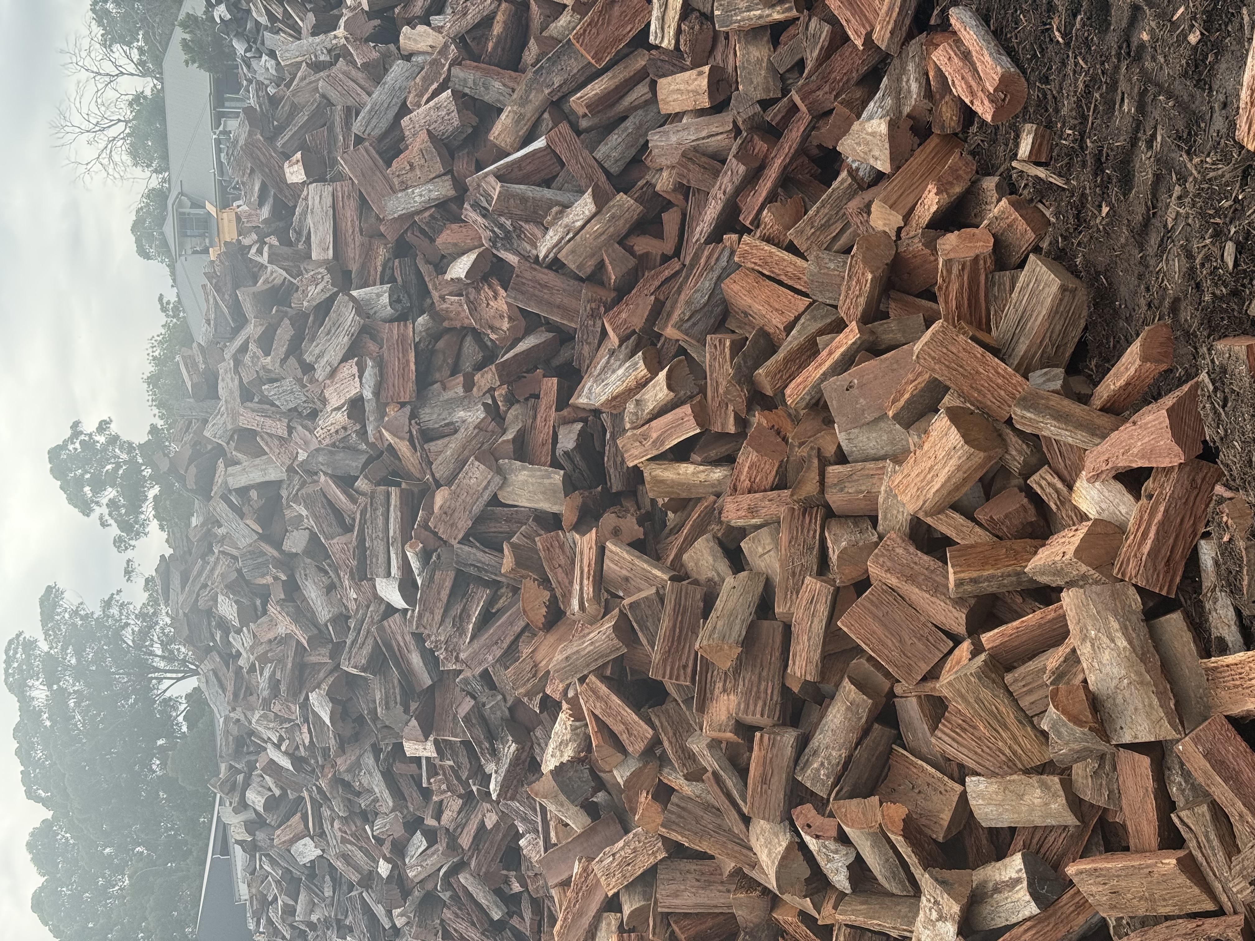 Premium Firewood